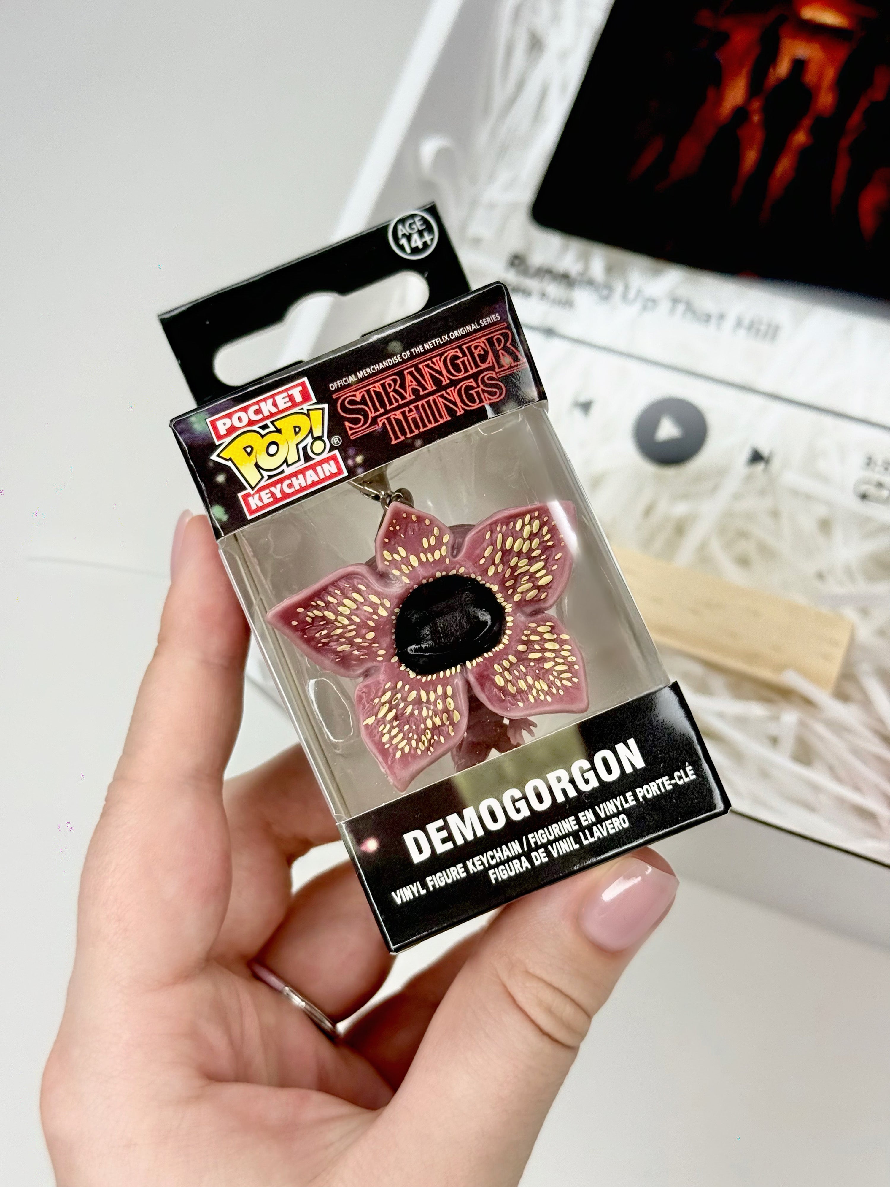 Stranger Things Fan Box