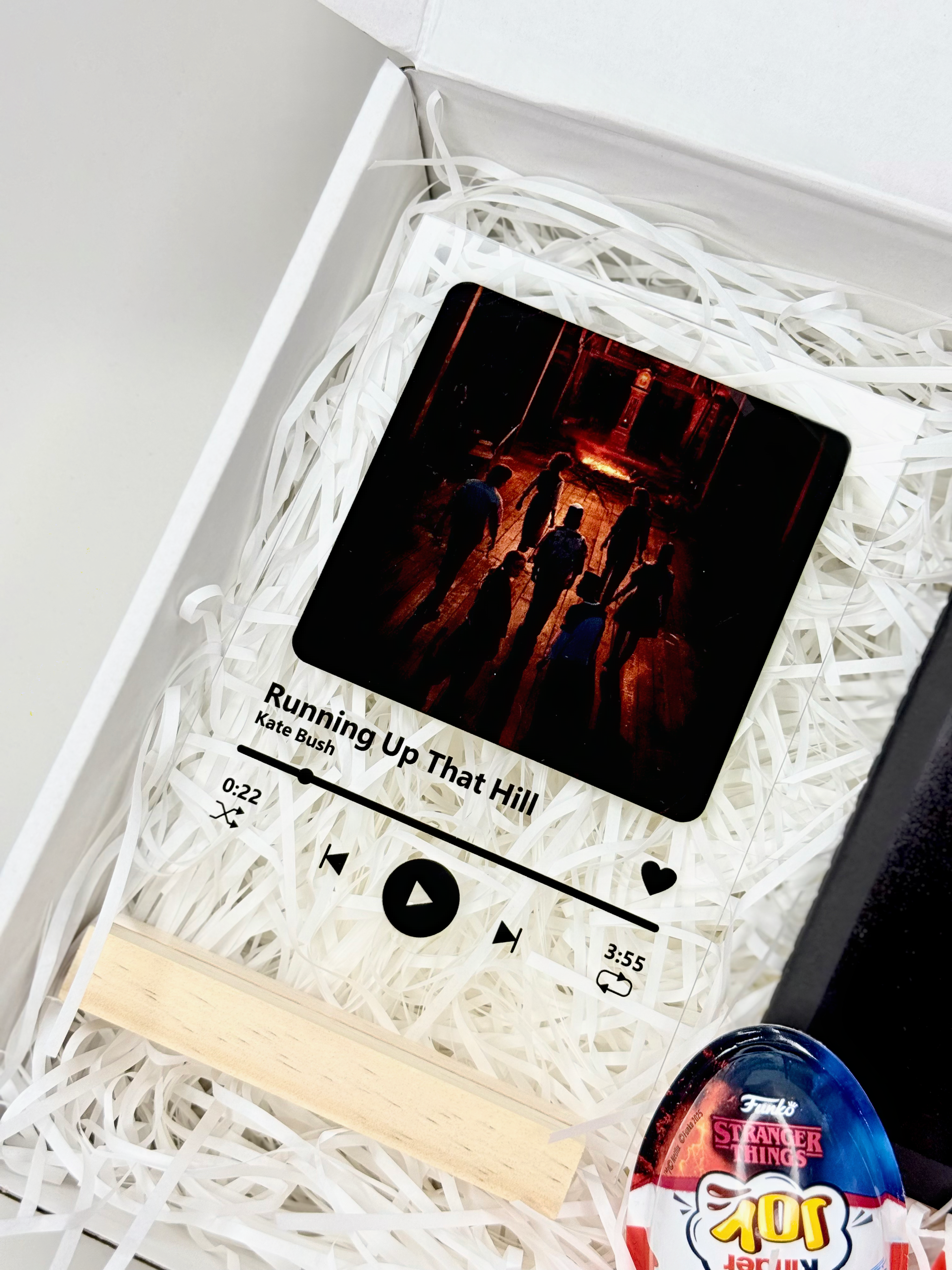 Stranger Things Fan Box